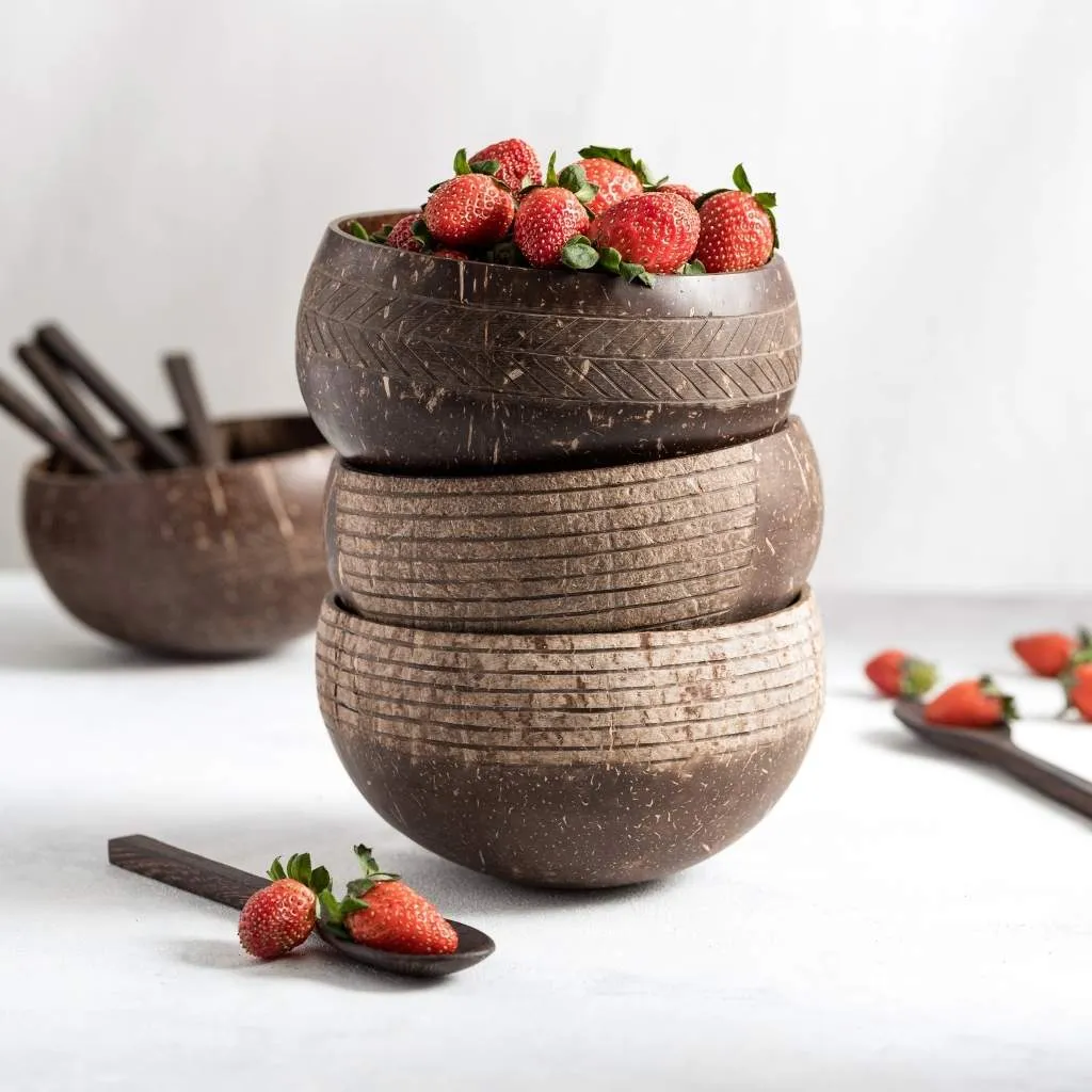 Coconut Bowls & Wooden Spoon Combo (Coco Shell Bowl): Classic Design