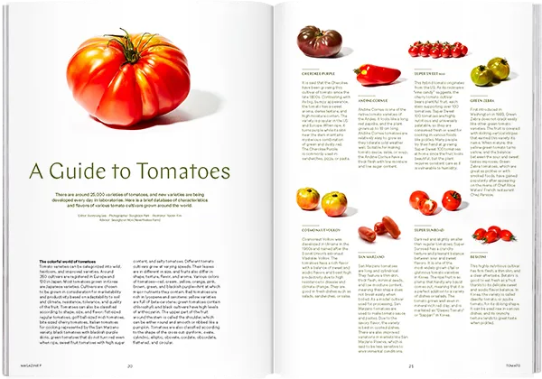 Magazine F - Issue 4 Tomato