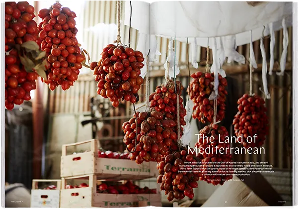 Magazine F - Issue 4 Tomato