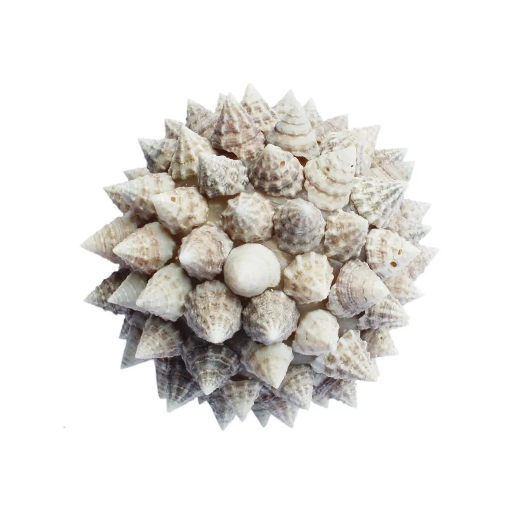 Shell Ball Kailani