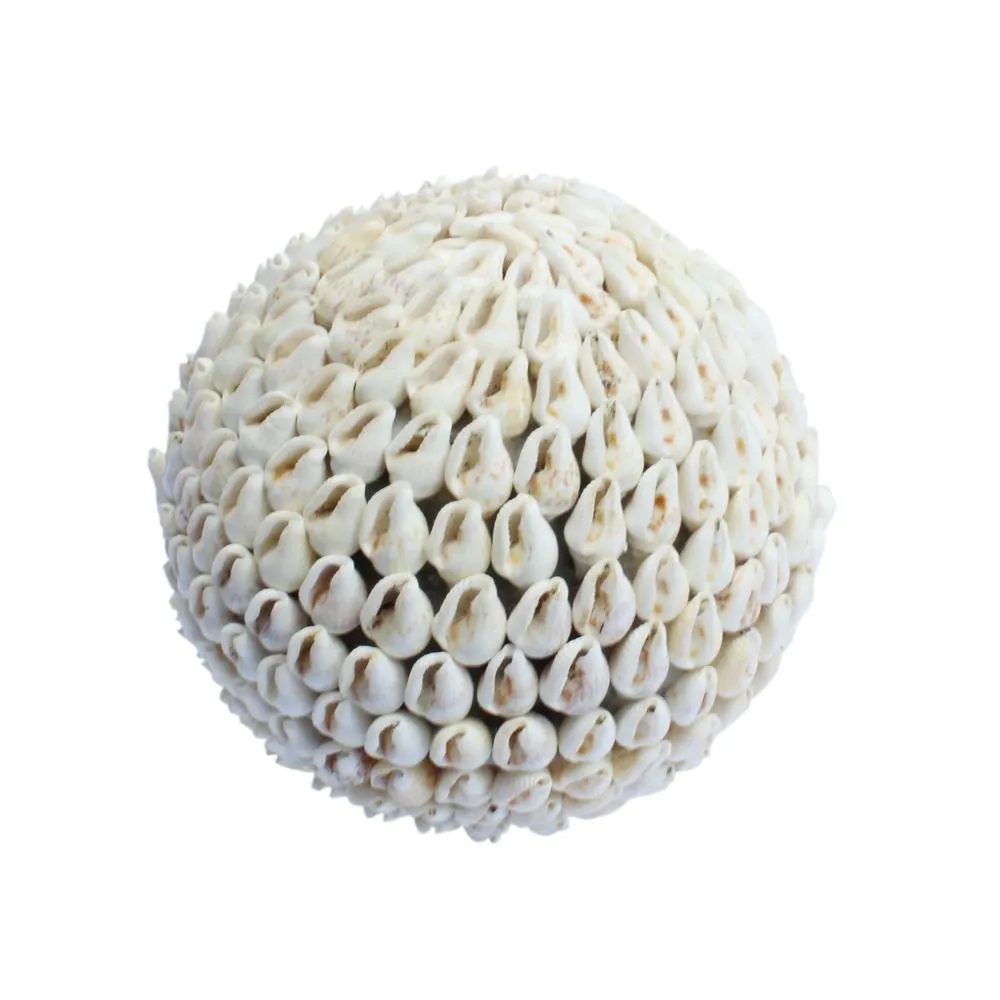 Shell Ball Kailani